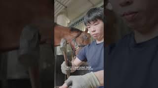 【HKJC140週年系列】楊嘉豪 - 馬蹄鐵成就力量與安全 | Andrew Yeung - Strength and safety in every shoe