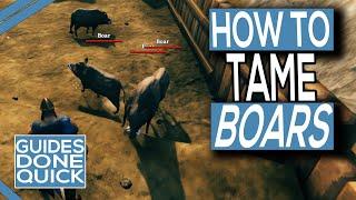 How To Tame Boars In Valheim