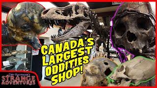 TOURING THE LARGEST ODDITIES SHOP IN CANADA! (Complete SHOP and MUSEUM tour!)