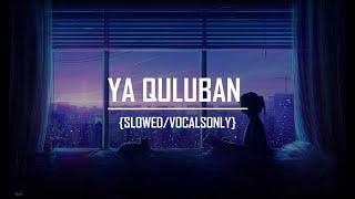Ya Quluban - Abdulla AlSinani | Vocals Only + Translation | Slowed | Hashnooor