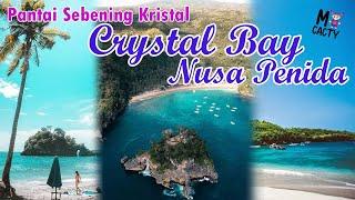 Crystal Bay Nusa Penida, Tempat Snorkeling Terbaik Dengan Pantai Sebening Kristal | 2022