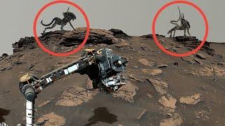 NASA Mars Rover Send Most Incredible Footage of Mars Sol 1207! Perseverance & Curiosity' Mars In 4K