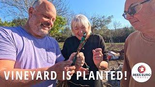 OUR SICILY VINEYARD IS PLANTED!