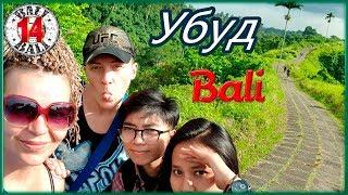 Bali / УБУД / Жильё / Местная еда / Тропа художника / Рисовые террасы