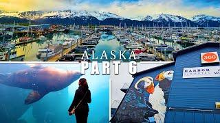 24 Hours in Seward Alaska: Harbor 360 Hotel, Firebrand BBQ, Sealife Center (Alaska Part 6)