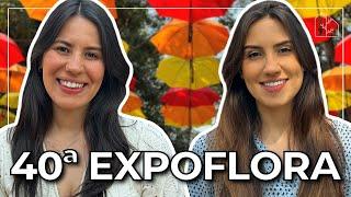 IDEIAS DE PLANTAS PRA VOCÊ ESCOLHER A MELHOR OPÇÃO PRA DECORAR SUA CASA! | Tudo sobre 40 EXPOFLORA!