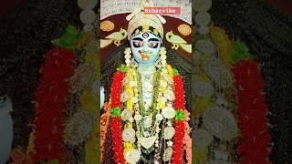 Bama Kali Mata  Nabadwip Rash Yatra || #kali #festival #shorts