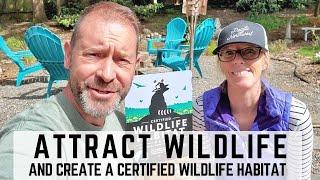 Our Certified Wildlife Habitat (& How to Make Your Own)  QG Day 28