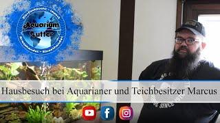 Ein Besuch bei Aquarianer und Teichbesitzer Marcus