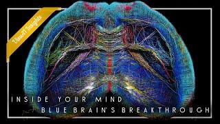 The Blue Brain Project: The Depths of Consciousness