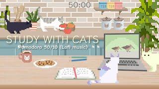 Study with Cats  Pomodoro timer 50/10 x Animation | Studying at the kitchen table  | Lofi music