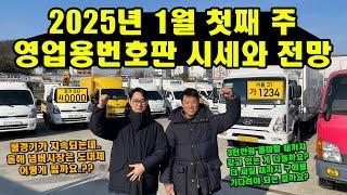 2025년 1월 첫째 주 영업용번호판 시세와 전망 "불경기가 지속되는데 올해 넘버시장 괜찮을까요?" (화물차, 트럭)