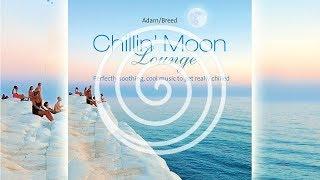 Chillin' Moon Lounge: Perfectly soothing, cool music to get really chilled (RELAXLOUNGE.TV)