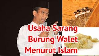 Sarang Burung Walet Menurut Islam