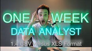 Become a Data Analyst in ONE WEEK (1.4 Excel Basics | CSV versus XLS Format)