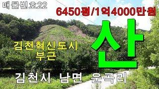 (매매완료)김천임야 산/김천토지 땅 전문/김천시 남면 운곡리 저렴한 산 임야/6450평/매매1억4000만원/약초재배,힐링,요양하기 좋은 산