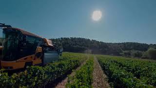 Totale immersion dans les vignes en Provence, grâce au drône FPV !