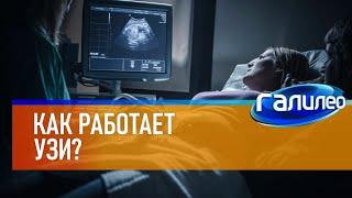 Галилео  Как работает УЗИ?