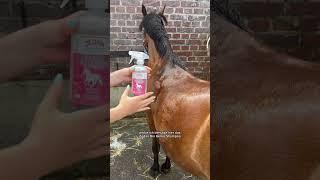 Werbung | Mögt ihr den Sommer oder Winter lieber?️️ #fy #fyp #fypage #horse #stallvlog #pferde