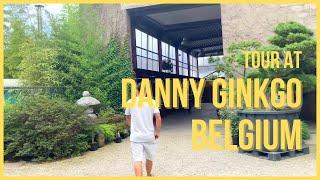Ginkgo Bonsai Centre Belgium tree sale tour