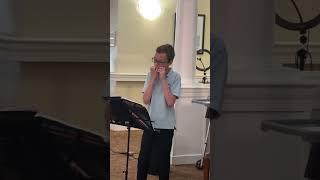 What a Wonderful World - Harmonica Solo #harmonica #music #classicalmusic