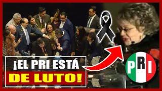 ¡SE ARMÓ LA RIÑA EN EL SENADO! MORENA APLICA OTRA VEZ LA APLANADORA, MUERE SILVIA PINAL