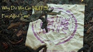 Why Do We Go NUTS For Aged Pu Erh Tea?