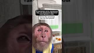 7 мая 2025 г.