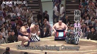 Yokozuna Ring-Entering Ceremony [横綱土俵入り] - SUMOPEDIA