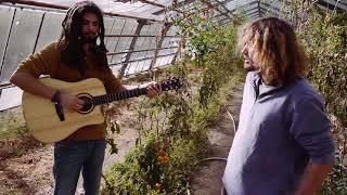 Greenhouse Sessions // soft edges & Tim Anders