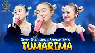 TUMARIMA - GIVANI GUMILANG X PREMAN DISCO (OFFICIAL MUSIC VIDEO)