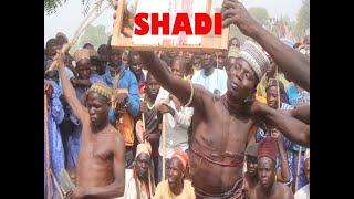 SHADI (AFRICAN CULTURE BY FULANI)