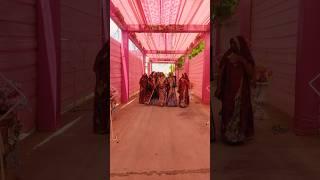 Rajasthani Culture #traditionalwear  #rajasthani #song #dj #dance #sekhawatijaatni #shortsviral