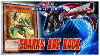 Armored Sharks Are Way Stronger With Horus - Horus Armored Shark Decklist | Yu-Gi-Oh! Master Duel