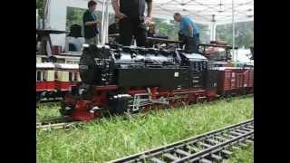 Gartenbahn im Modellpark 17 06 2012