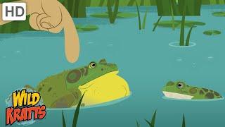 Semi-Aquatic Creatures | Frogs, Crocodiles, Hippos + more [Full Episodes] Wild Kratts