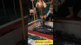 Mahadev ️ #song #kedarnath #mahadiv #shortvideos #trending #jaimahakal #viralvideos