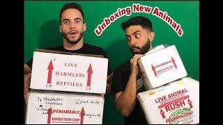 YOU WONT BELIEVE WHAT WE PICKED UP! UNBOXING VIDEO!