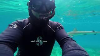 Extreme free diving with sharks.