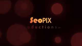 SeoPIX production sting