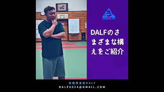 【護身術】DALFのさまざまな構えを紹介します。