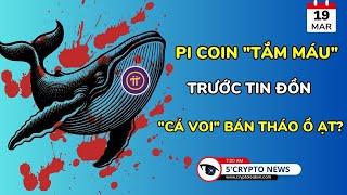 [5 Phút Crypto] - Pi Coin "Tắm Máu" Trước Tin Đồn "Cá Voi" Bán Tháo Ồ Ạt?