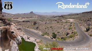 Route 66's Wildest Ride: The Oatman Highway, Secret Spots, & More!