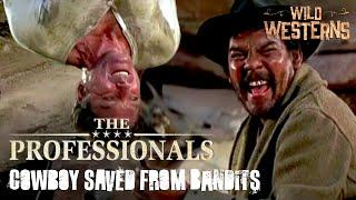 The Professionals | Cowboy Saved From Vicious Bandits | Wild Westerns