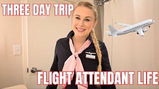 Flight Attendant Life | 150K subs, 3 day trip, renaissance festival & fun with family