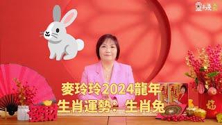 麦玲玲：2024龙年生肖兔的整体运势