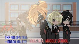 The Golden Trio + Draco Malfoy Goes To A Muggle School || My Au. || Drarry + Ronmione