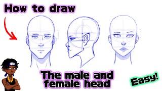 How to draw the head & face proportions￼￼