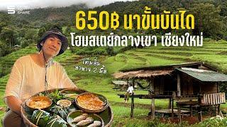 650 บาท นอนโฮมสเตย์นาขั้นบันได กลางภูเขา ในเชียงใหม่ ปางมะโอ