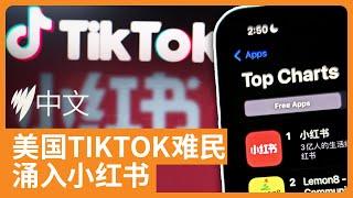 TikTok被禁危机加剧，美国用户涌向小红书寻求新阵地 | SBS中文